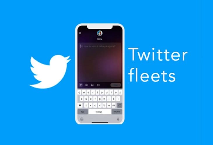 Twitter Fleets