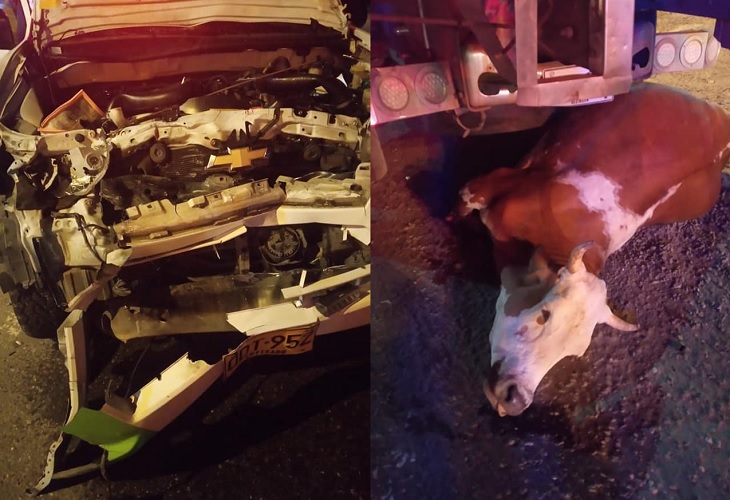 Ambulancia choca contra vaca en Barbosa, el paciente muere
