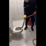 Encuentran una serpiente en el baño de una casa en Sahagún
