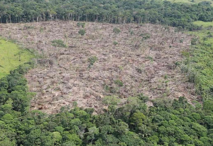 deforestación en colombia