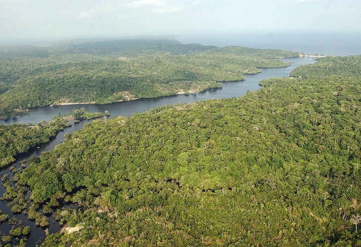 Brasil, la principal reserva hídrica del mundo, "se está secando"