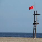 Cierran 8 playas de La Manga para retirar peces muertos en el Mar Menor