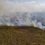 El cambio climático, una de las principales amenazas para la próxima pandemia