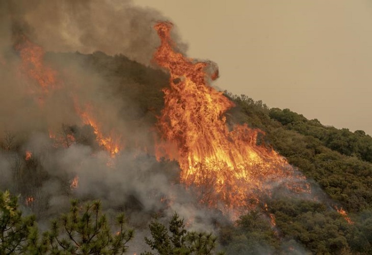 Un incendio abarca 2.200 hectáreas en los Andes de Perú