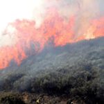 Unas 100.000 hectáreas forestales arden cada año en España