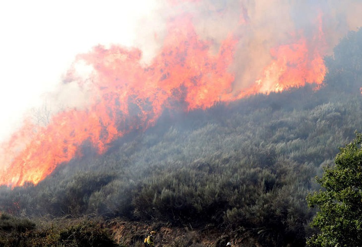 Unas 100.000 hectáreas forestales arden cada año en España