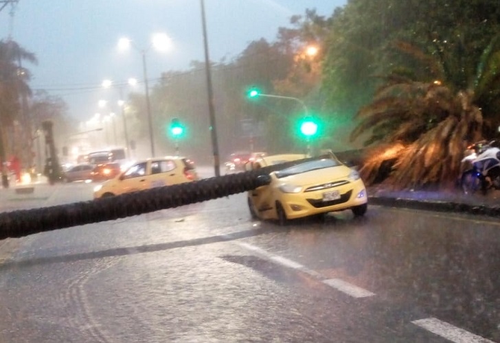 Árbol aplastó un taxi en la avenida Barranquilla de Medellín