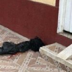 Lanzaron una cabeza humana a un andén en el barrio Fuenmayor de Buga