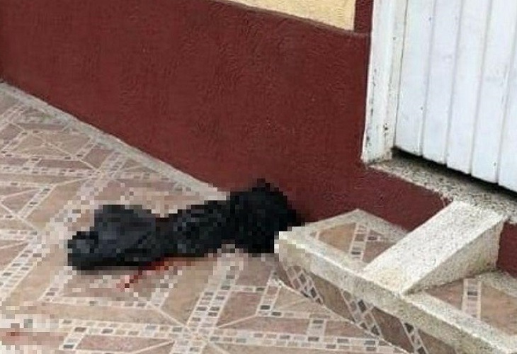 Lanzaron una cabeza humana a un andén en el barrio Fuenmayor de Buga