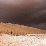 Arabia, el corredor verde que canalizó las primeras migraciones humanas