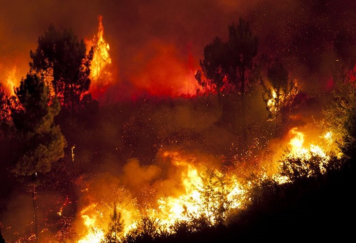 Crisis climática multiplicó por cinco los desastres naturales en últimos 50 años