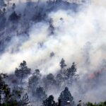 Honduras ha perdido 90.206 hectáreas de bosque en unos 816 incendios en 2021