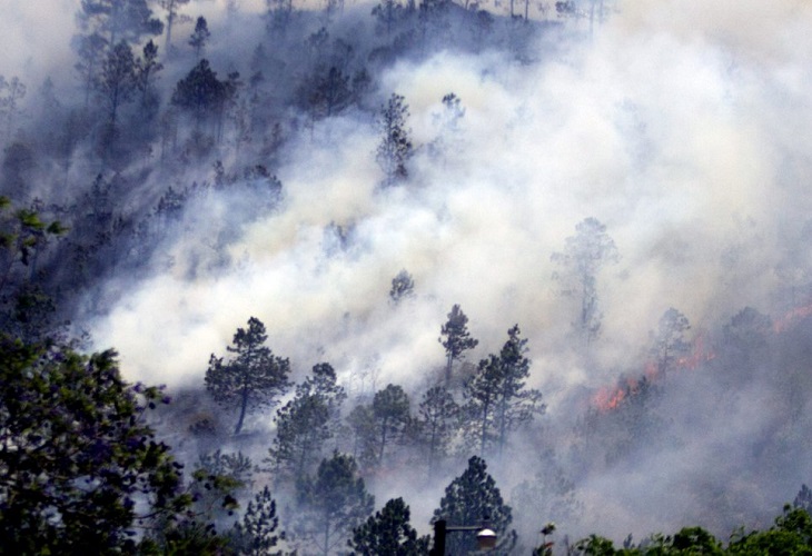 Honduras ha perdido 90.206 hectáreas de bosque en unos 816 incendios en 2021