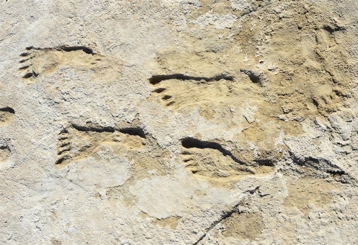 Huellas humanas en Nuevo México indican presencia humana en América hace 23.000 años
