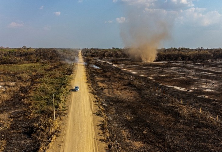 Los incendios vuelven a amenazar la biodiversidad en el Pantanal brasileño