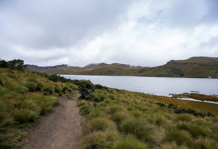 Transición ecológica en Ecuador - proteger el medioambiente con desarrollo