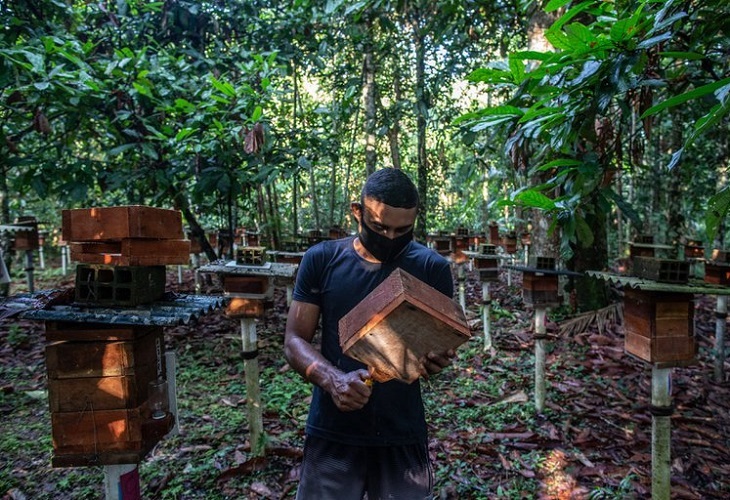 Una revolución sostenible intenta abrirse paso en la Amazonía brasileña