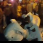6 jóvenes murieron arrollados por una camioneta en Gaira, Santa Marta