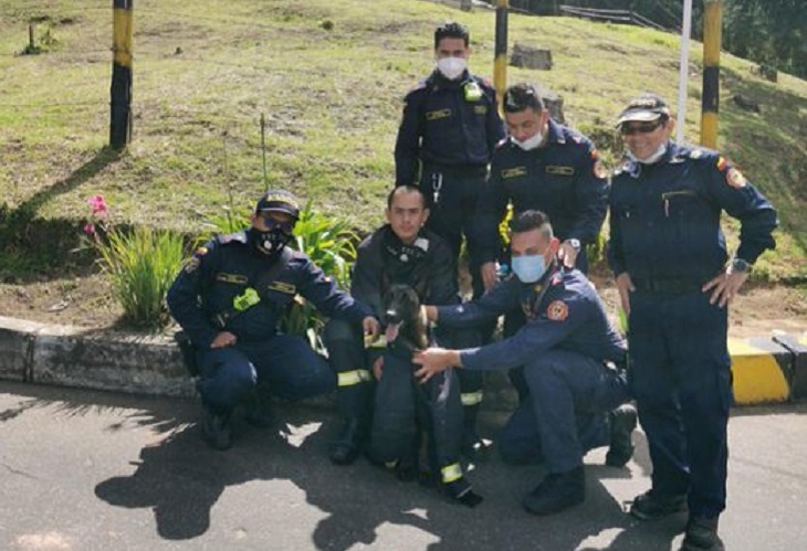 Los Bomberos de Bogotá encuentran a Gásper, su perro que estaba desaparecido