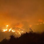 Muere bombero de 44 años en las llamas del incendio de Estepona en Málaga