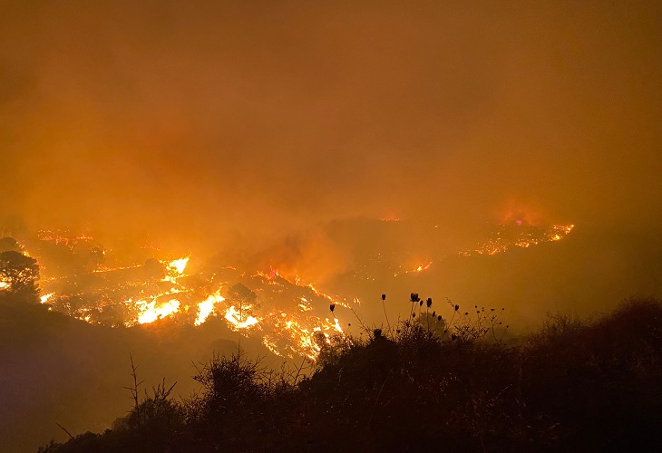 Muere bombero de 44 años en las llamas del incendio de Estepona en Málaga