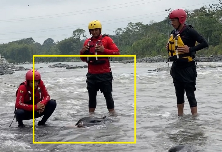 Bleidys Durango, colombiana murió ahogada en el río Toachi, en Ecuador