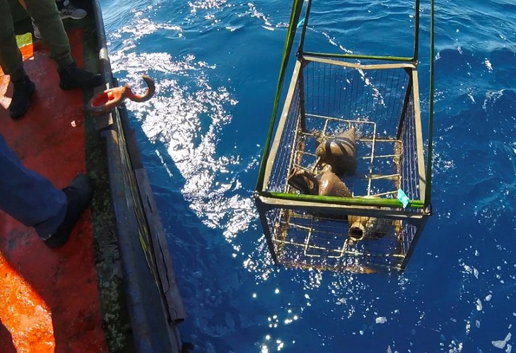 Arqueólogos griegos recuperan antigüedades del fondo del mar Jónico