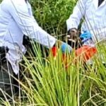 Carlos Arturo Álvarez, el hombre de 29 años al que decapitaron en Medellín