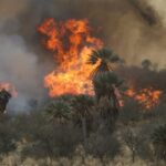 Continúan las labores de extinción de incendios forestales en el centro de Argentina