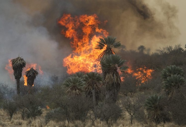 Continúan las labores de extinción de incendios forestales en el centro de Argentina