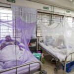 Desarrollan un potente antiviral contra dengue, válido para tratar y prevenir