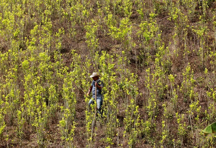EE.UU. estrena una nueva estrategia de lucha contra las drogas en Colombia
