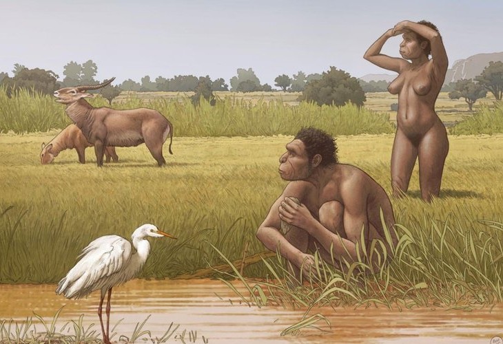 Homo bodoensis, un nombre nuevo para un ancestro humano en África