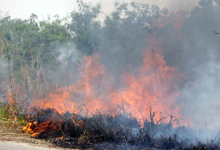 Incendios forestales arrasan miles de hectáreas en el centro de Argentina