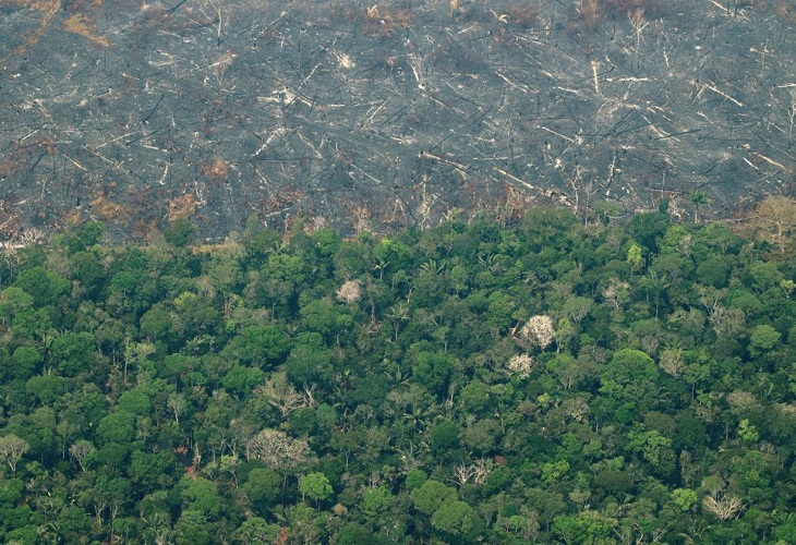 La Amazonía perderá unas 860.000 hectáreas en 2021, según una proyección