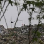 La India busca eliminar sus miles de montañas gigantes de basura