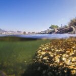 La ONU reconoce que vivir en un medio ambiente limpio es un derecho humano