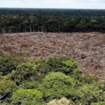 Las emisiones de gases de efecto invernadero de Brasil crecen 9,5 % en 2020