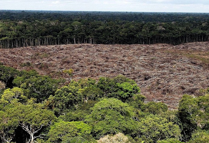 Las emisiones de gases de efecto invernadero de Brasil crecen 9,5 % en 2020