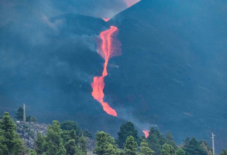 Los animales se acostumbran a convivir con el volcán, según un biólogo