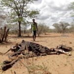 cambio climático