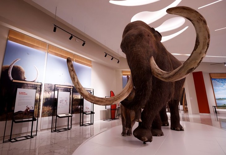 Museo del Mamut, joya paleontológica dentro del nuevo aeropuerto de México