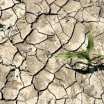 No hay debate. El cambio climático es resultado de la acción humana