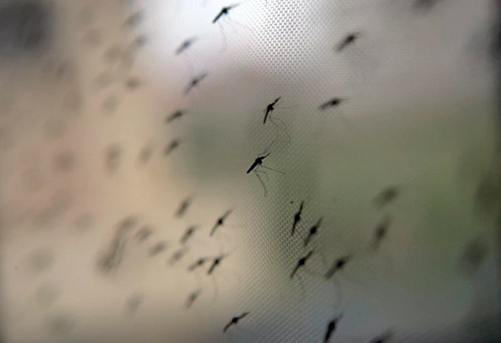 OMS recomienda que se extienda el uso de vacuna contra la malaria en África