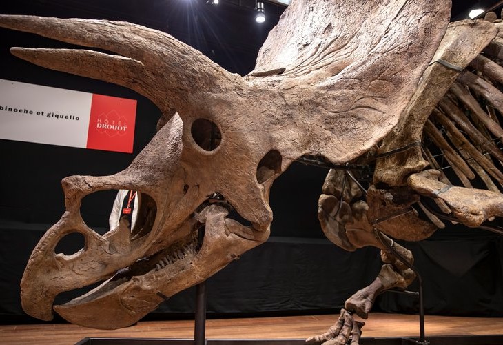 Subastado el esqueleto de un gran triceratops por 6,65 millones de euros