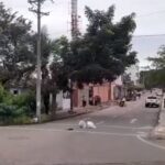 Encuentran cabeza de un hombre en una calle de Yopal