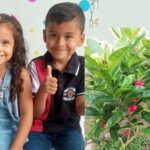 Niños venezolanos murieron envenados en Río de Oro, Cesar