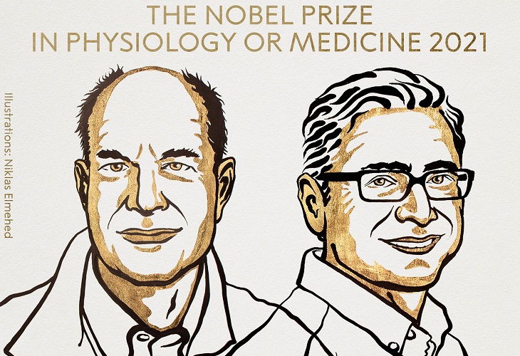 El Nobel de Medicina 2021 es otorgado a David Julius y Ardem Patapoutian