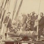 Aparecen las primeras fotografías submarinas de la historia, tomadas en Vigo