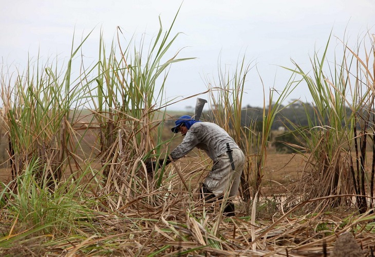 Brasil recogerá su menor cosecha de caña de azúcar en diez años por el mal clima